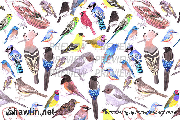 Birds of America Watercolor: A Versatile Background for Crafting & Cricut Projects
