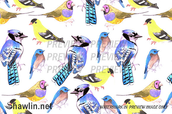 Watercolor Birds Tetrad Color Pattern: A Fresh Design Asset for Bloggers and Publishers