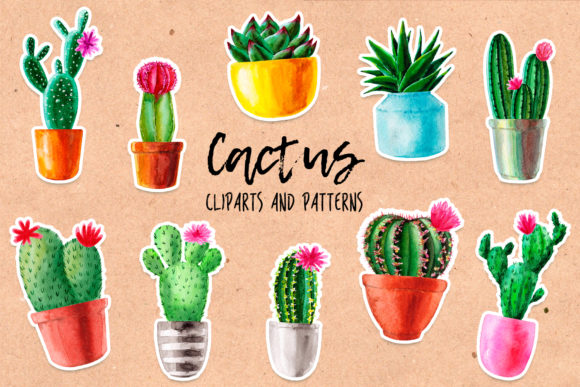 Watercolor Cactus Patterns for Crafts & Handmade Business Design