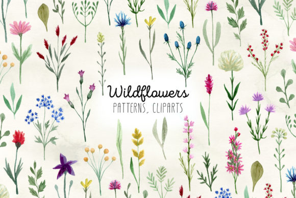 Watercolor Wildflowers Clipart: A Designer’s Honest Review